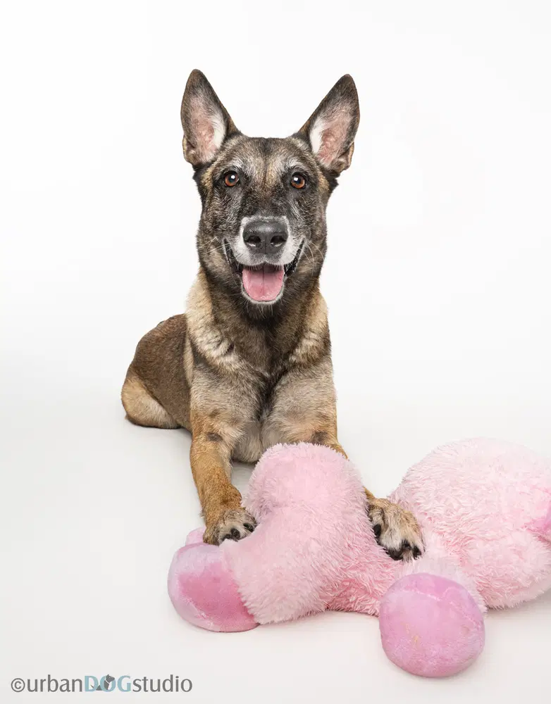 Maggie May - Located In Florida image 2