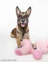 Maggie May - Located in Florida - Photo 2