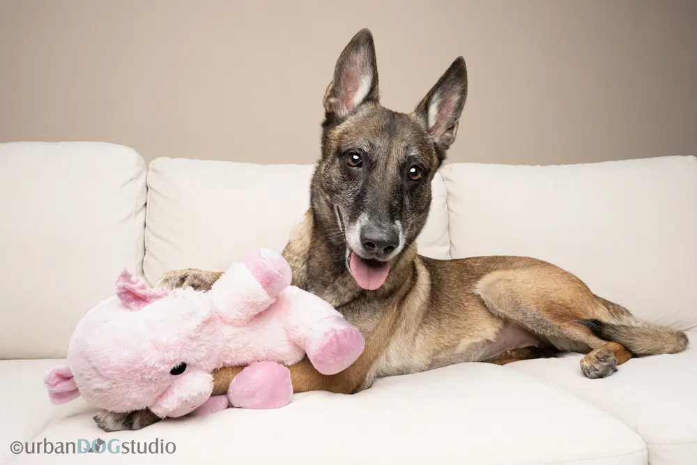 Maggie May - Located In Florida image 3
