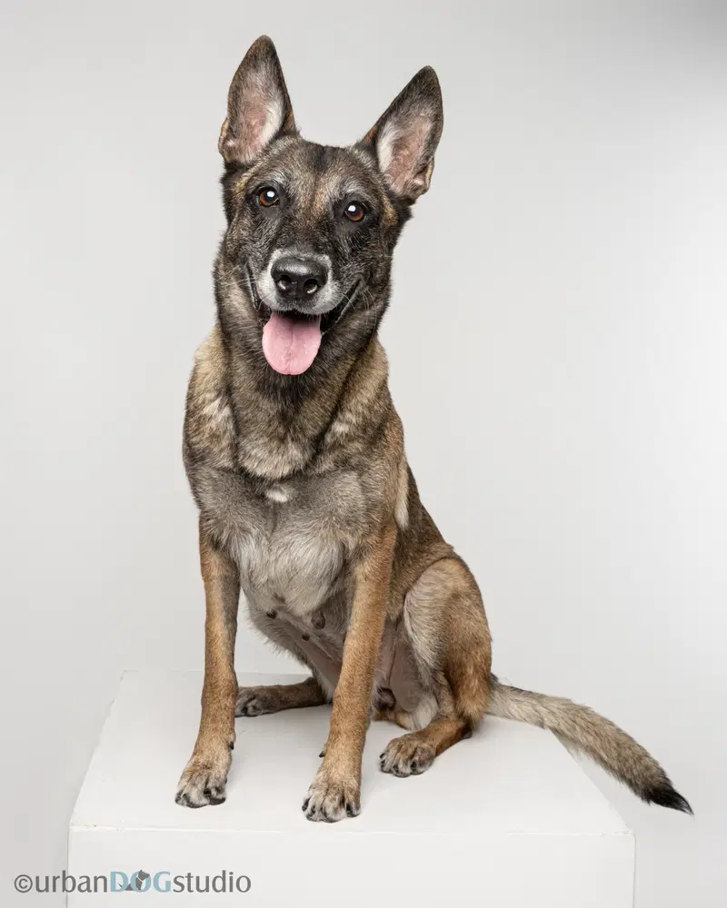 Maggie May - Located In Florida image 4