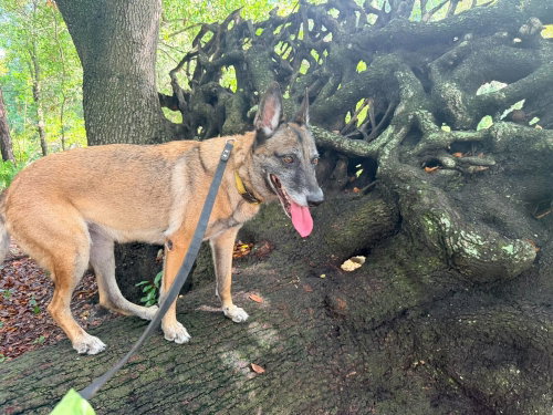 Photo 2 of Maggie May - Located in Florida