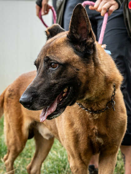 Tiago - Located in GA