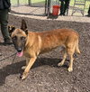 Tiago - Located in GA - Photo 3