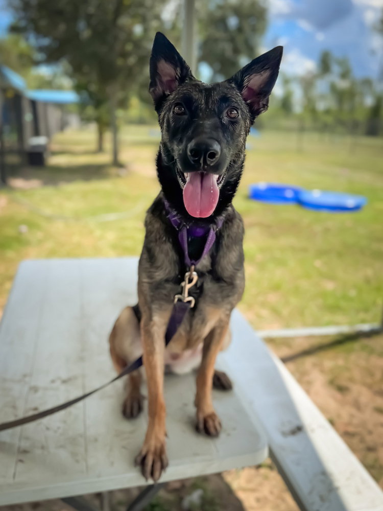 Penny - Located in Florida