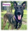 Penny - Located in Florida - Photo 2
