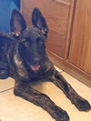 Sully Jr located in AR - Photo 1