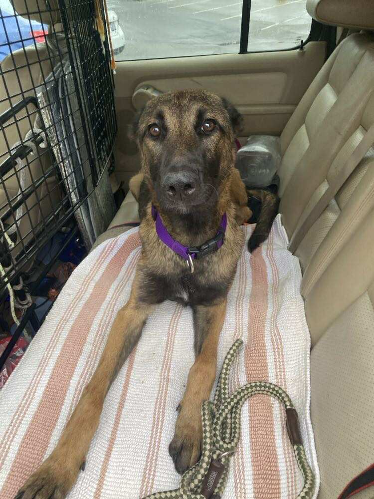 Odette FKA Issa in CA