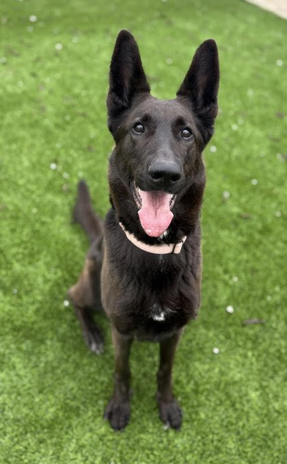 Storm (FKA Stella) - located in UT