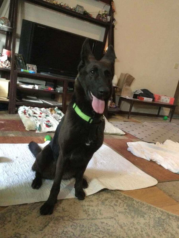 Storm (FKA Stella) - located in UT