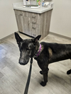 Ruger, fka Patterson - located in GA - Photo 4