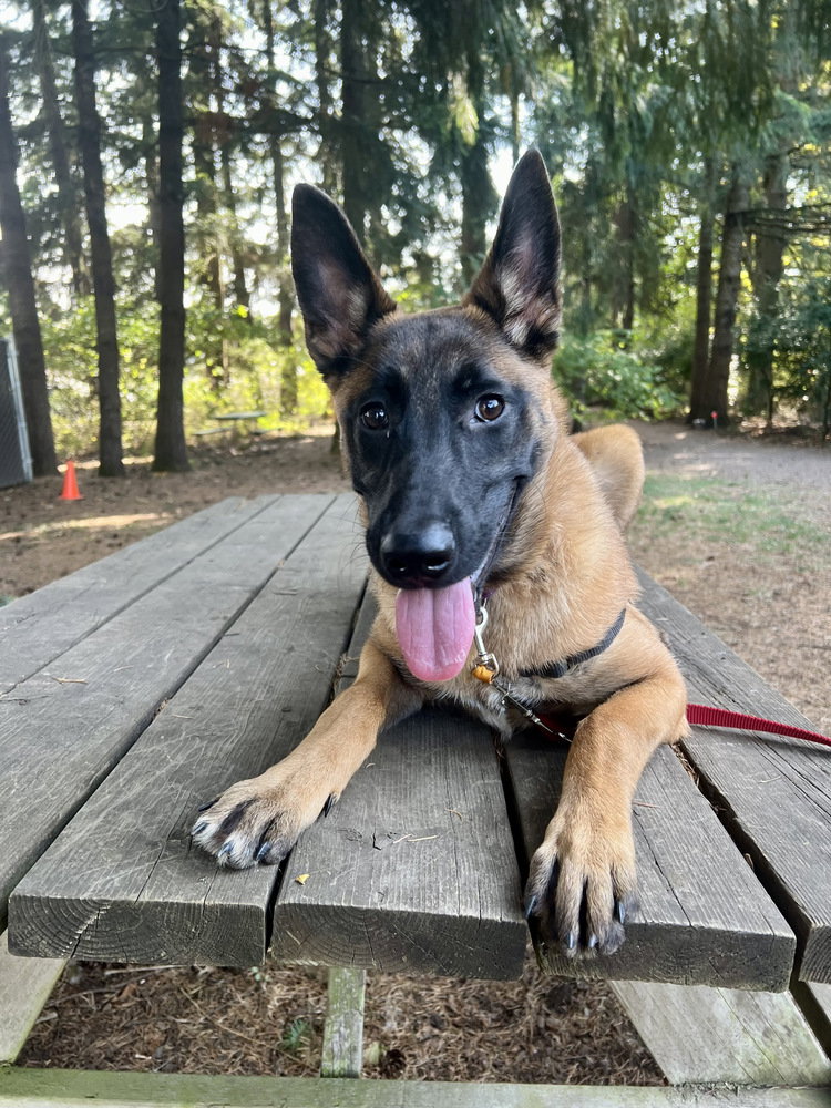 Fiona - located in OR
