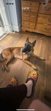 Lily located in Kansas - Photo 3