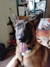 Lily located in Kansas - Photo 4