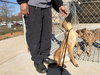 Hobbes - located in GA - Photo 2