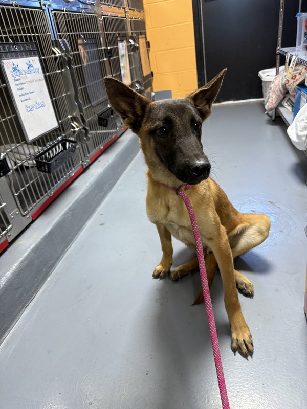 Hobbes - located in GA