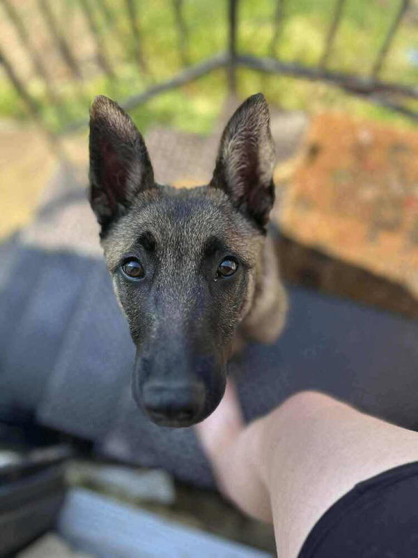 Maverick - located in SD