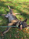 Niko located in NY - Photo 2