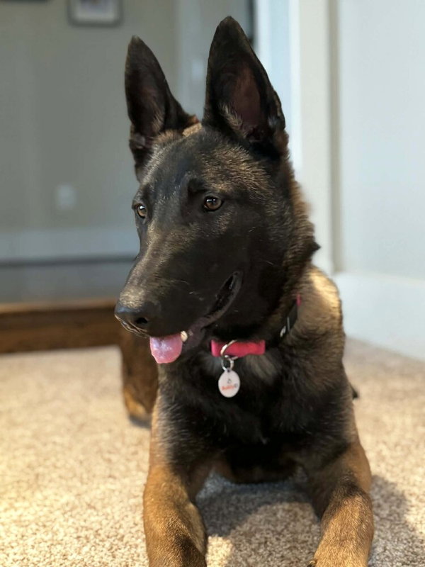 Nova - Located in VA