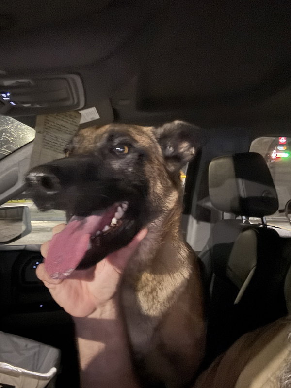 Jaxson - Located in GA