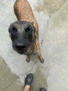 Trixi located in MN - Photo 2
