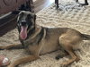 Lexy located in NM - Photo 1