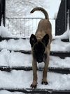 Seraphina located in CO - Photo 2