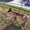 Seraphina located in CO - Photo 3