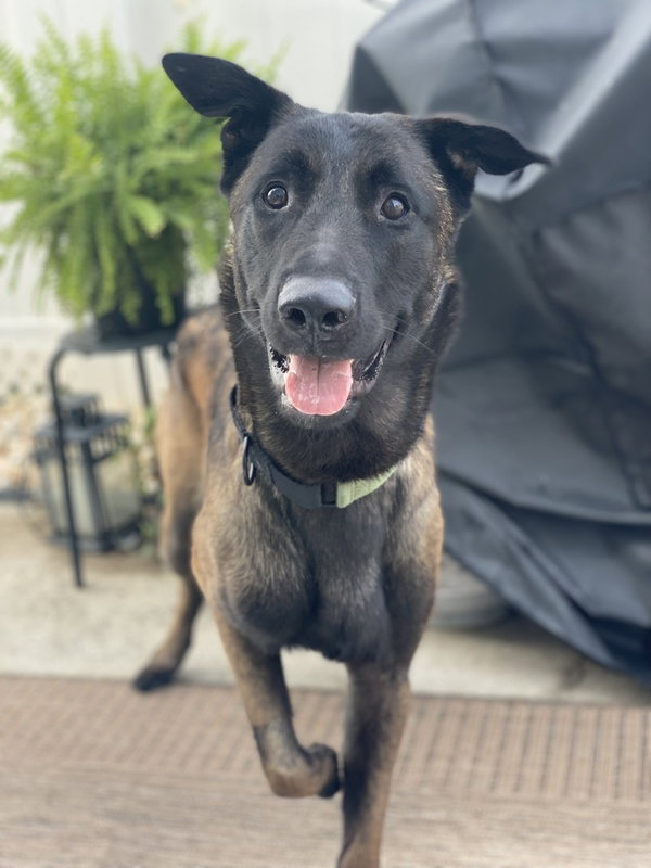Coby - Located in Maryland