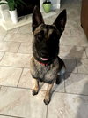 Chase - Located in FL - Photo 1