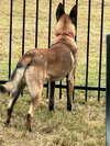 Chase - Located in FL - Photo 2