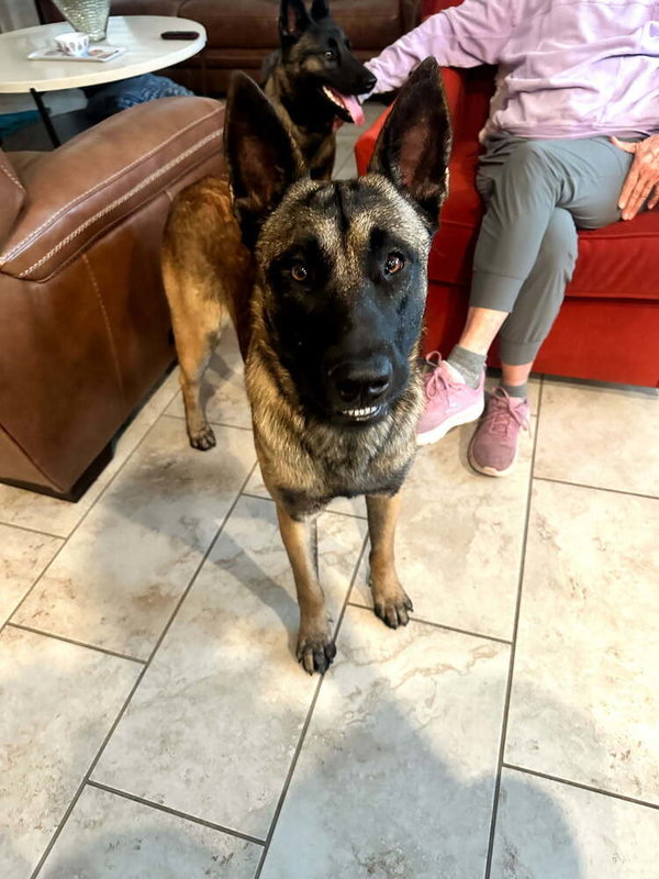 Chase - Located in FL