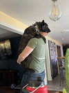 Balto - Located in Ohio - Photo 4
