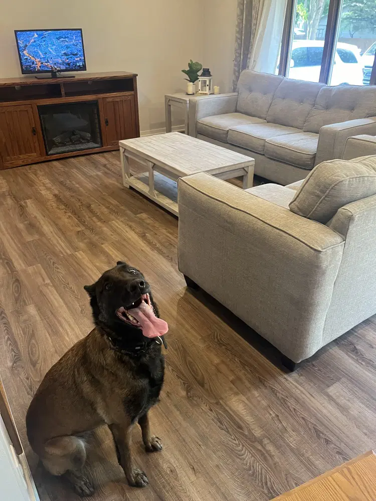 Oakley Fostered In Michigan image 2
