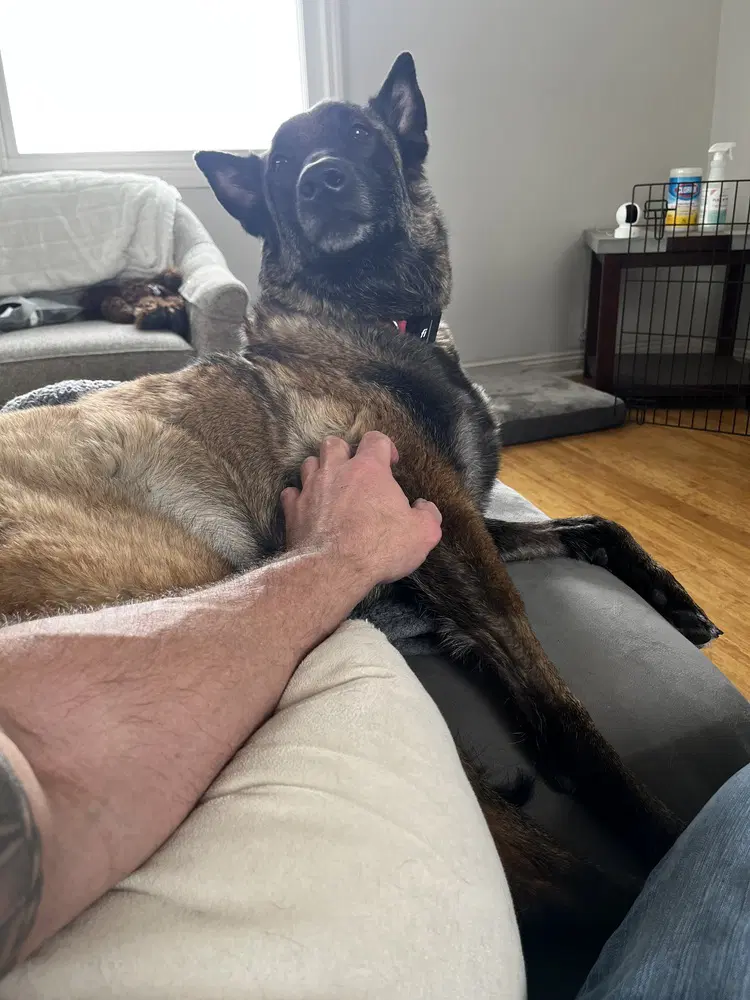 Oakley Fostered In Michigan image 4