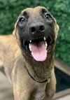 Archer - located in Ohio - Photo 1