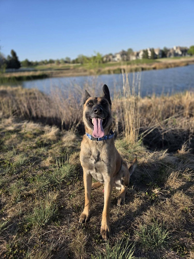 Arthur - Located in OK