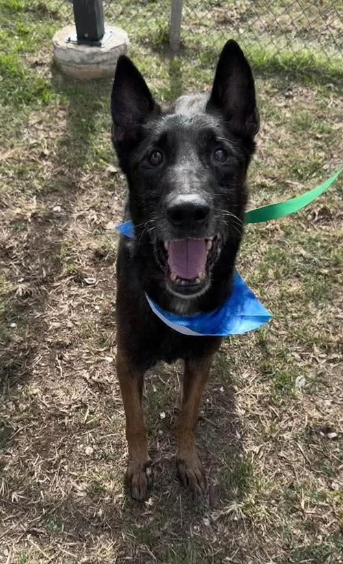 Ramsey- located in TX — thumbnail 10