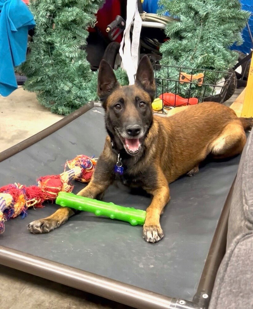 Zena - Located in KY Image