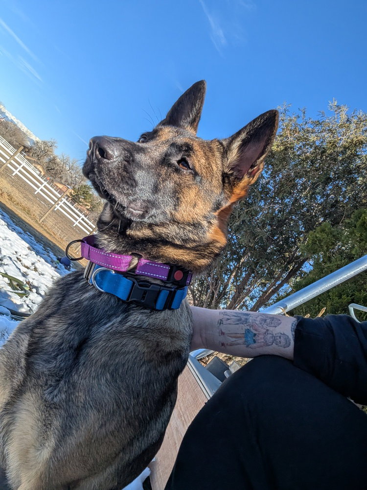 Ginny- Located In Colorado