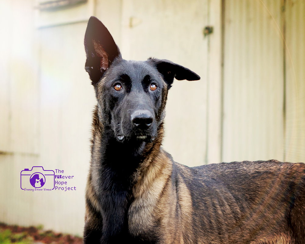 Scout - Located in Florida
