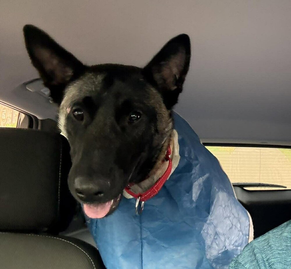 Beau - Located In Mi