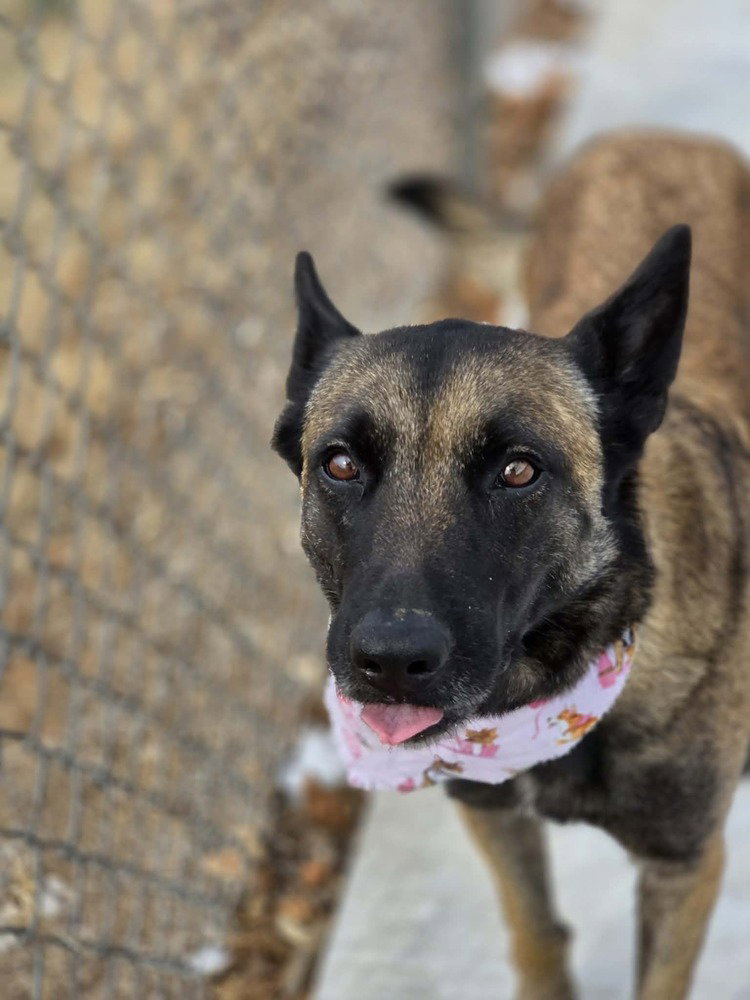 Jesse - Located In Nm