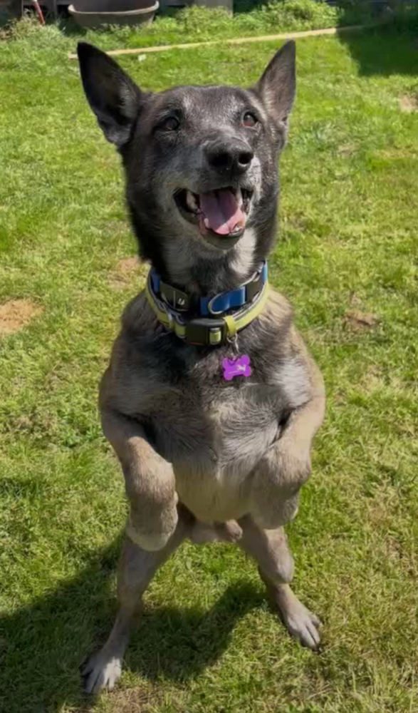 Clyde- Located in Oklahoma Image