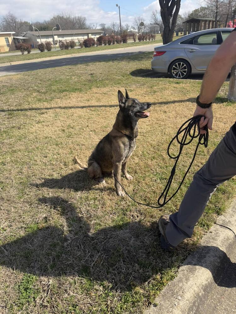 Clyde- Located in Oklahoma