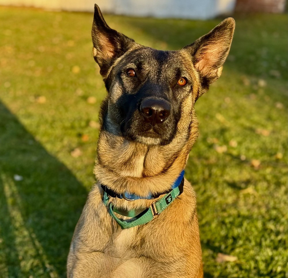 Tango - located in MI Image
