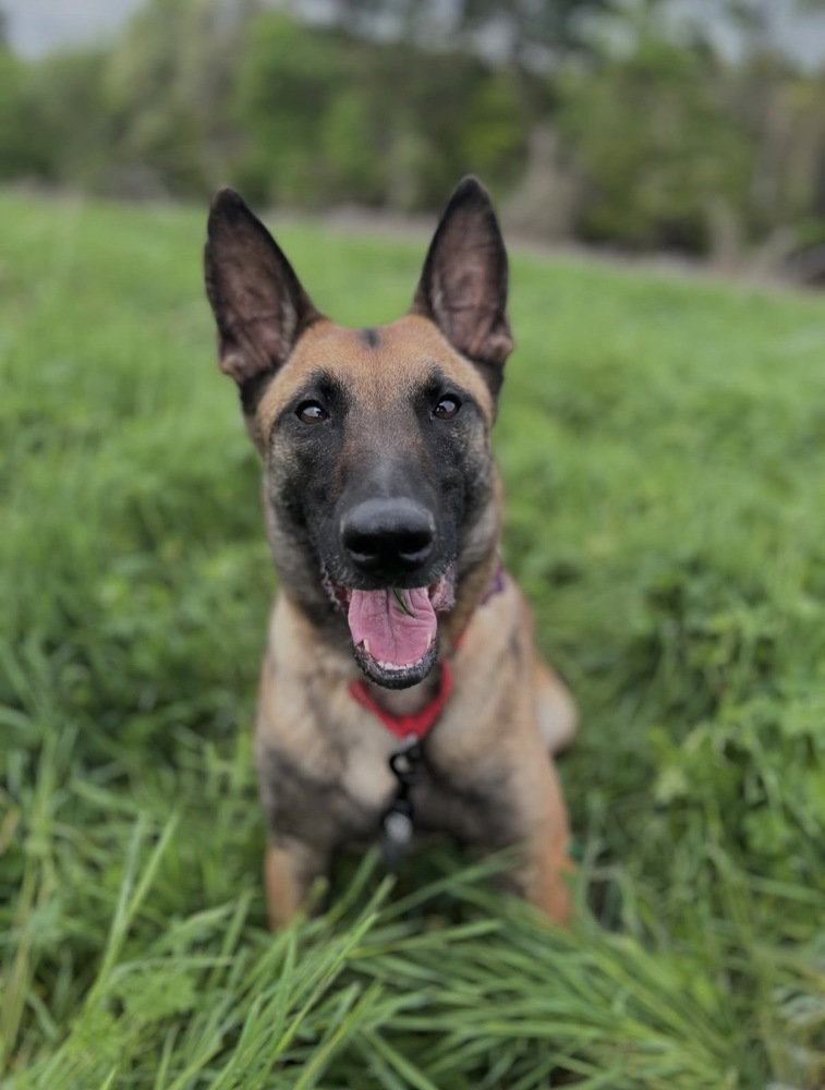 Priscilla - Located in Georgia