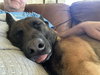 Jasper - Located in SC - Photo 2