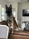 Jasper - Located in SC - Photo 3
