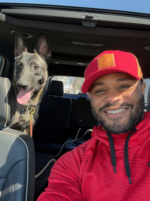 RONIN (OMAHA, NE) - Belgian Shepherd Malinois available for adoption