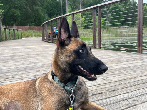 Ms Maddie - Located in Texas